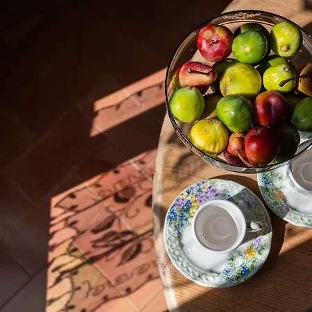 게스트하우스 Dimora Violetta 3*