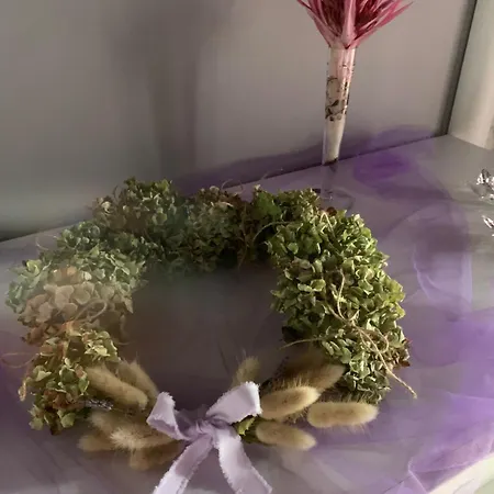 Dimora Violetta Pensión *