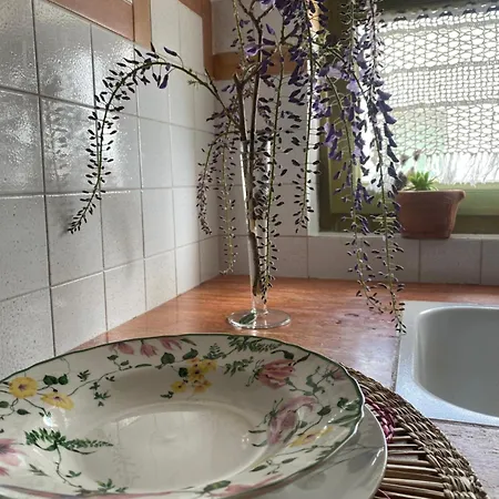 Dimora Violetta Pensión
